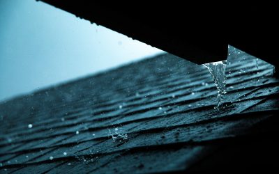 What You Need to Know About Roof Hail Damage